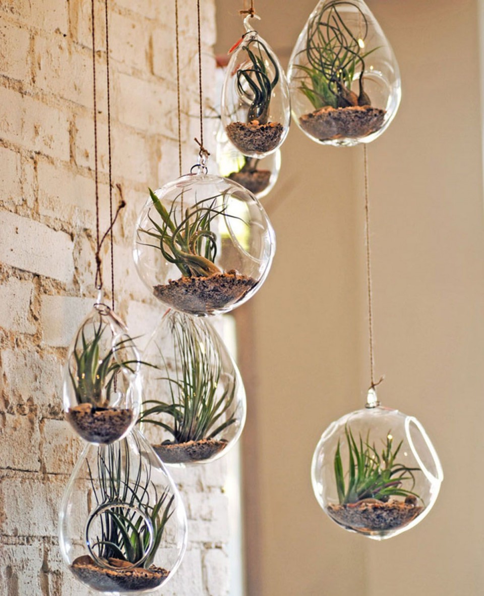 Es el momento de decorar con plantas