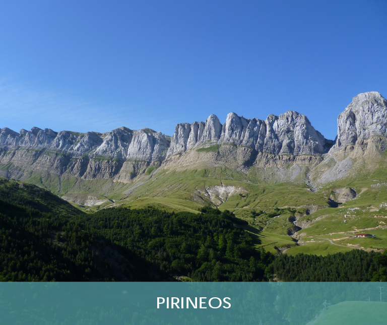 Viviendas Pirineos